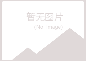 兴山区斑驳金属有限公司